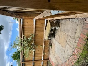 Nursery Patio 6 Nursery Patio 6